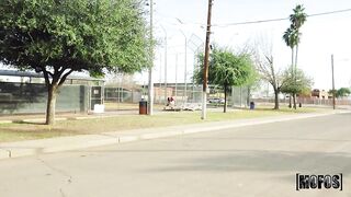 Life is Like a Box of Butt Plugs