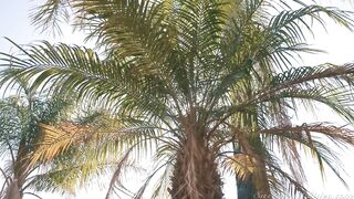 Sweet Heart Video - The Seductive Art of Massage Scene 1