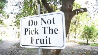 Brazzers - Look At All That Cash!