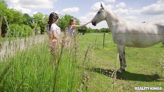 Reality Kings - Summer Fling