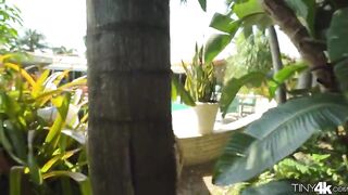 Tiny 4K - Tiny Fairy