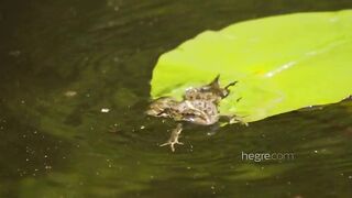 Hegre - Tribute to Ukraine