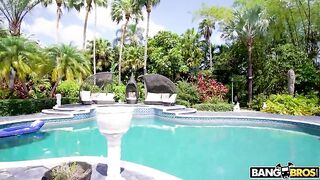 Bang Bros - Wife Next Door