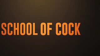 Brazzers - School Of Cock