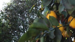 Playboy Plus - Lauryn Wolfe in Twist of Lemon