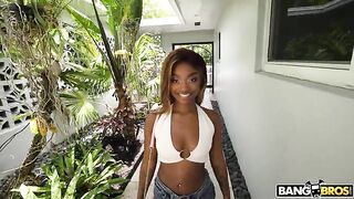 Bang Bros -  Short Stuff Big Stuff