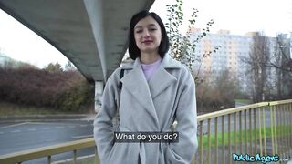 Public Agent - The Quiet Little Russian