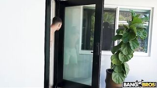 Bang Bros - The House Sitter