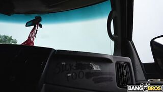 Bang Bros - We Spotted a Wild Kitty