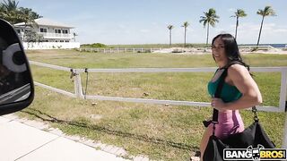 Bang Bros - Iron Swinger