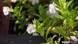 Tushy Raw - Raven Gets Her Tight And Tiny Ass Pounded Hard