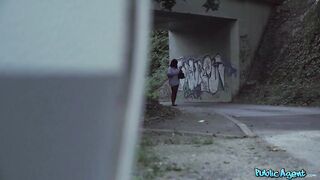 Public Agent - Laying the Bait