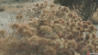 Digital Playground - Gold Diggers - Episode 1