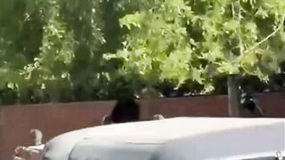 Viral Indian Girl Naked on Jaipur street Viral Video